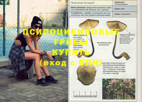 МДПВ Абинск