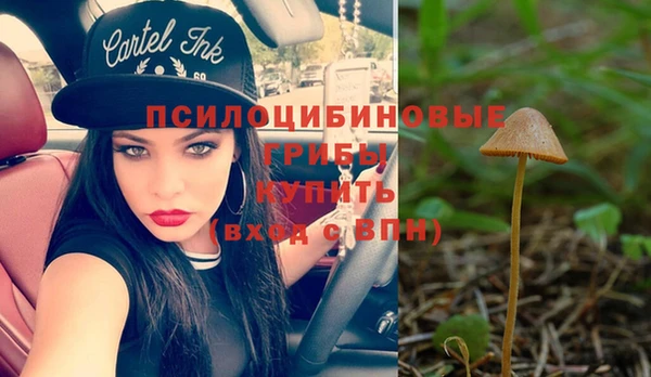 прущий лед Покров