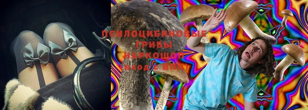 МДПВ Абинск