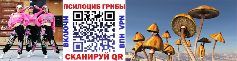 Псилоцибиновые грибы MAGIC MUSHROOMS Инза